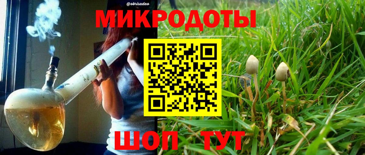 Удомля  Псилоцибиновые грибы Cubensis  Галлюциногенные грибы Psilocybine cubensis  Вход с VPN 